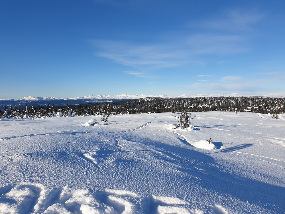 Utsikt frå toppen mot Rondane m.m.