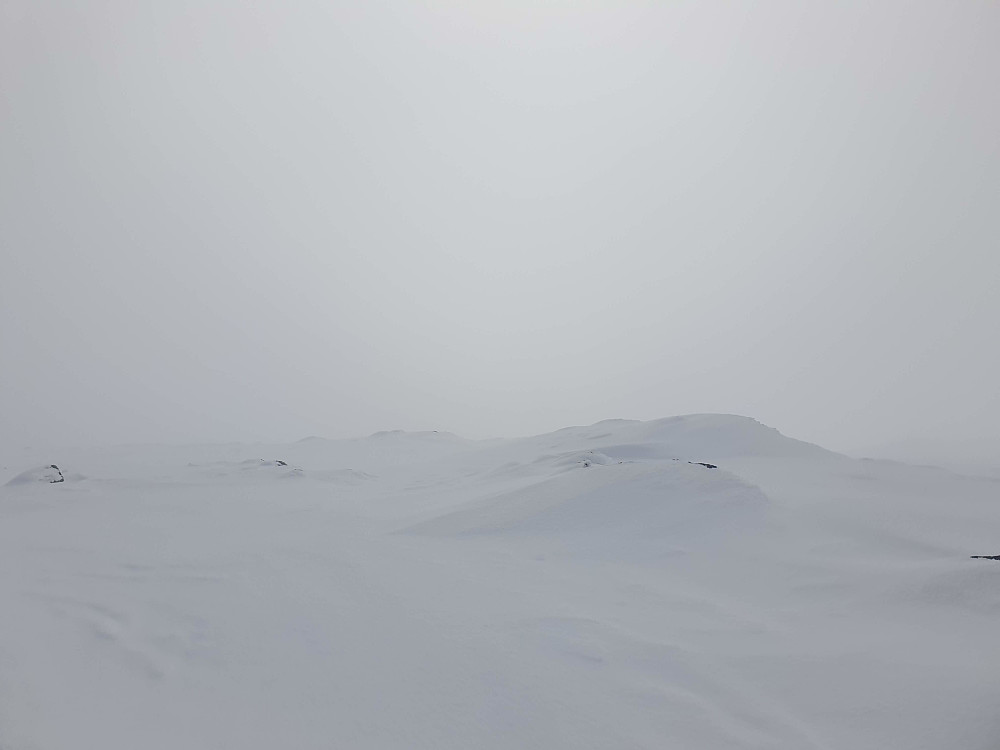 Sånn ser det ut på toppen. Utsikten ikkje det heilt store å skryte av.