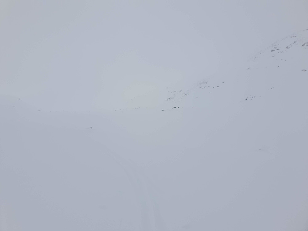 Så vidt eg greidde å finne skispora på veg ned att.