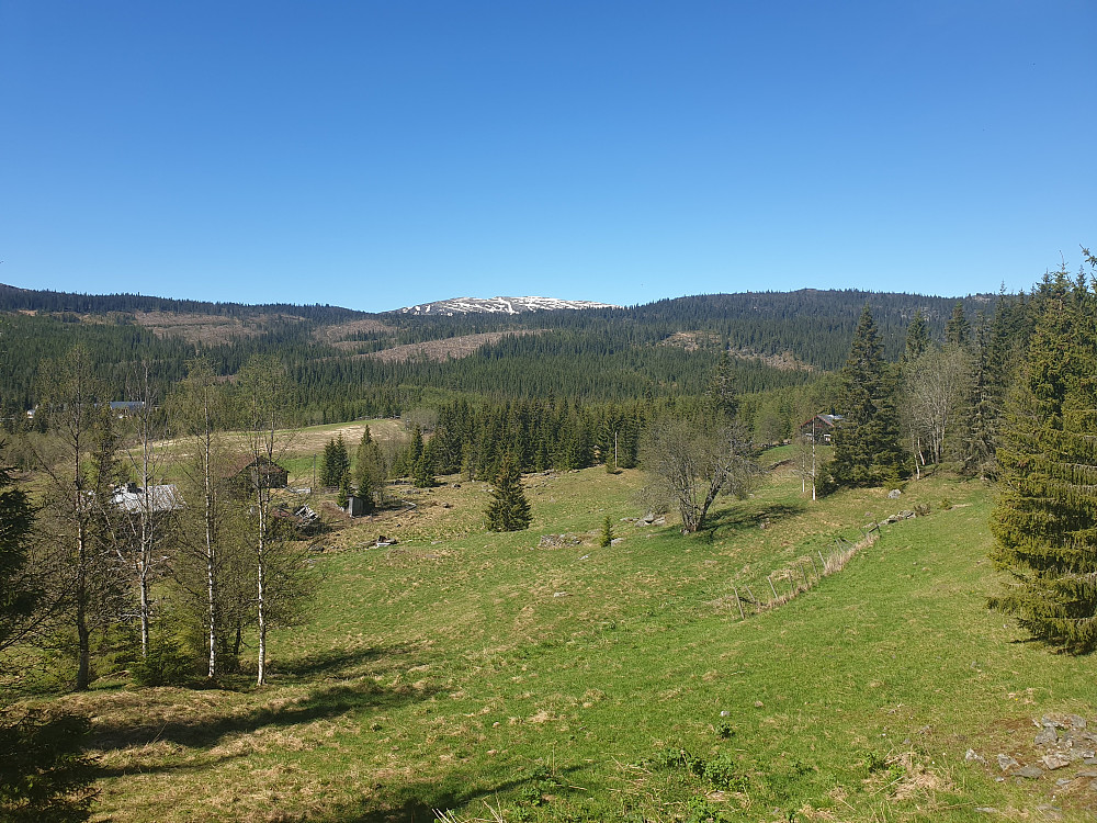 På veg ned frå Finndalshaugen, ein annan (og betre veg) tilbake. Ongsjøfjellet lurer i det fjerne.