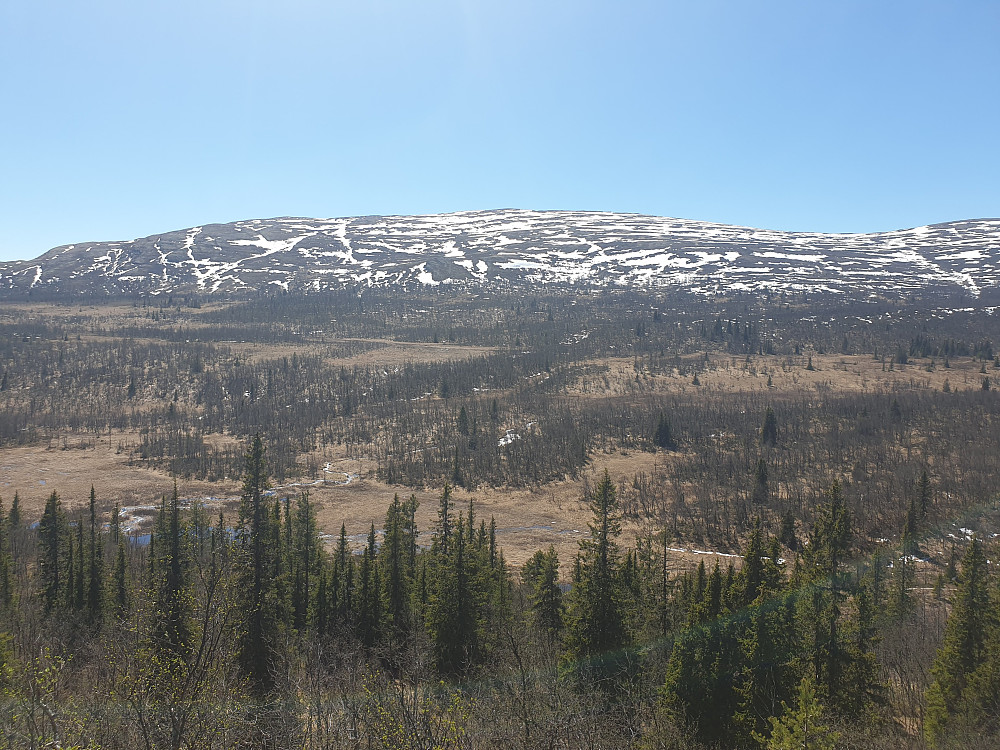 Rett under toppen var det fint utsiktspunkt, med panoramautsikt mot Ongsjøfjellet.
