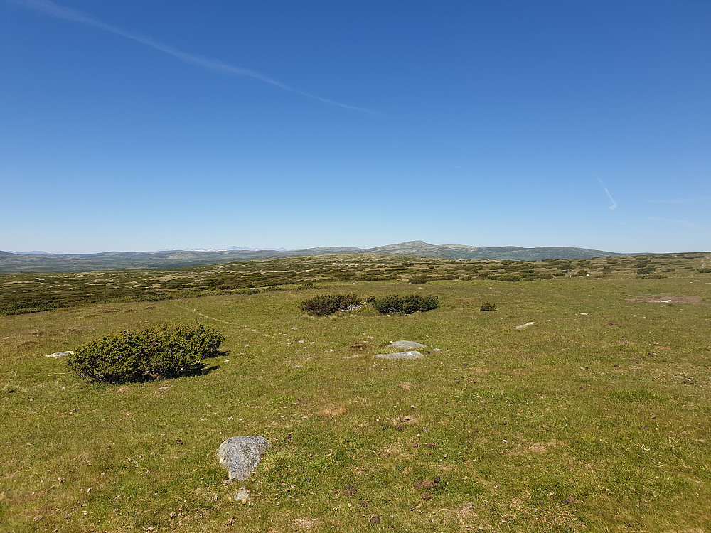 Tueterreng. Ser bl.a. mot Rondane og Store Kvia.