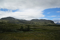 Utsikt mot Storelgvasshøe (t.v.) og "nordtoppen" 