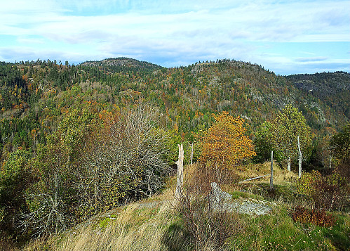 Fra toppartiet på Hanakne/Heståsen mot Fjerdingen i det fjerne.