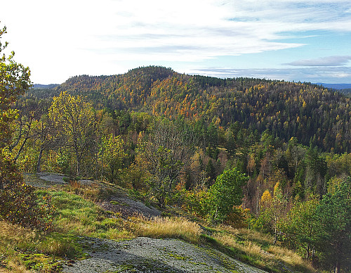 Prestskjeggen sett fra Gaukåsen på tampen av turen. Denne imposante kollen ble altså avslutningen på Porsgrunnslista for mitt vedkommende.