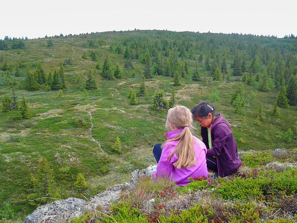 På Sigloberget med Skardåsen i bakgrunnen.