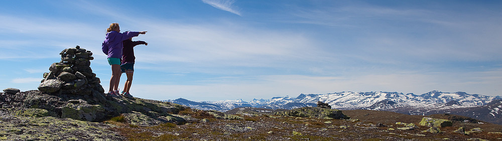 Jeg og Vidle på toppen av Svarthamaren.