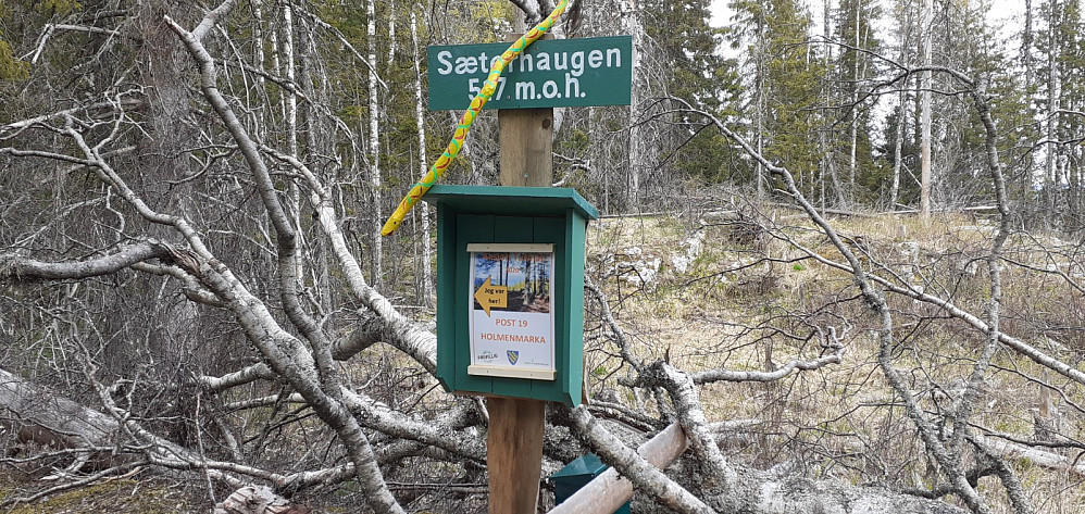 Toppen? Ikke lett å se ut i fra terrenget.