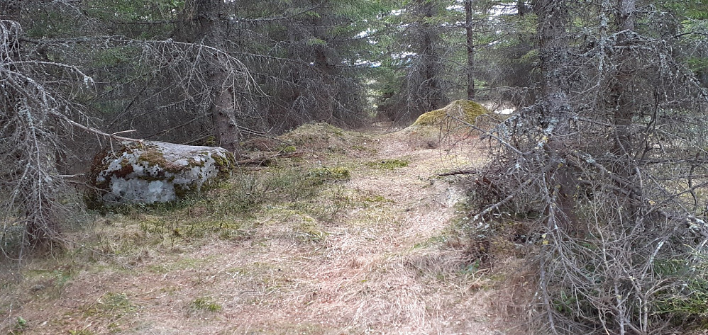 Enten er steinen til venstre eller haugen til høyre toppunktet.