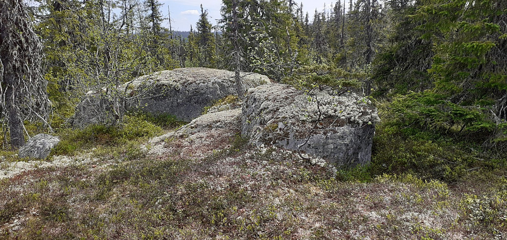 En av disse to steinene er høyeste punkt på Kollehøgdi.