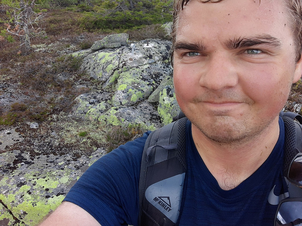Toppen er markert med et tomteskille og et armeringsjern. I tillegg er det ganske god utsikt fra toppen. Ikke gjengrodd av skog!