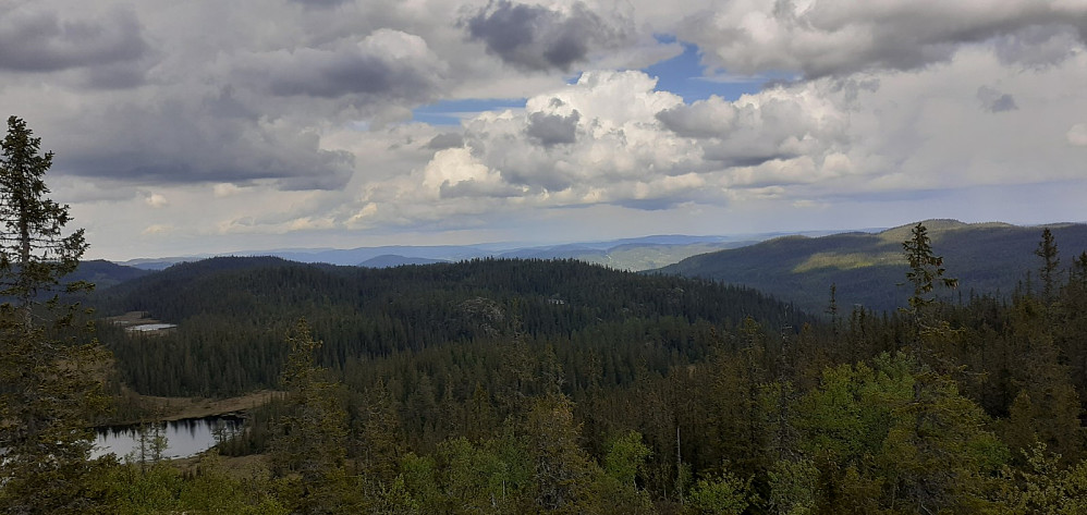 Tror jeg akkurat greide å få med topp 2 og 3 i dagens tur. Jevnlisfjellet skjult bak treet helt til venstre, og Skurveknatten rett over treet nest lengst til høyre i bildet.
