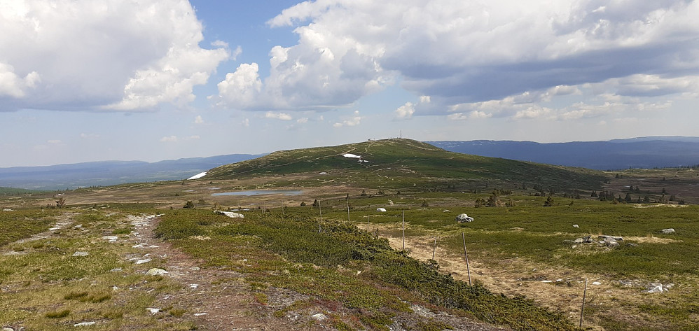 Storefjell sett fra Veslefjell.