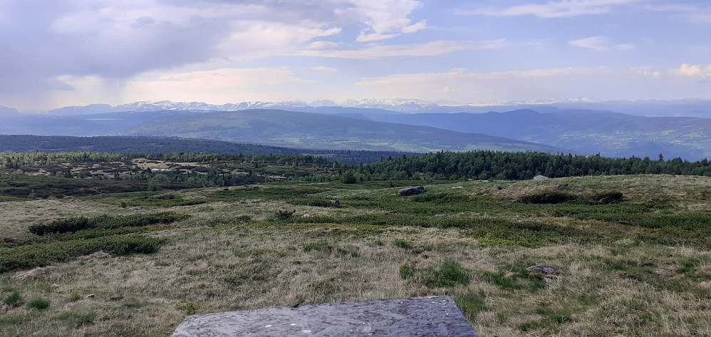 Utsikten i samme retning som utkiktstavla