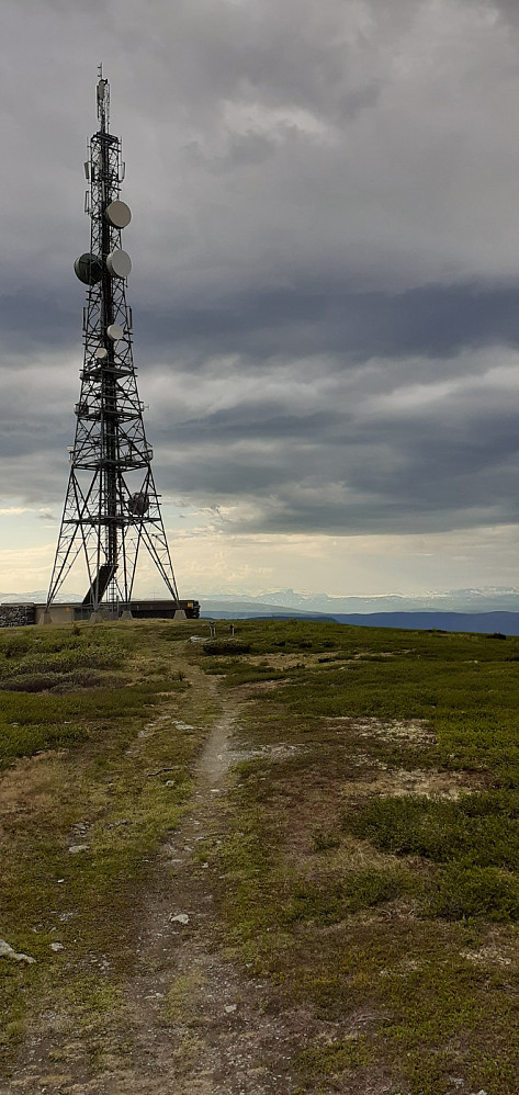 Tårnet på toppen