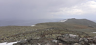 Larspet_20200617_5eea3e883e263.jpg