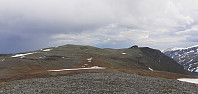 Larspet_20200617_5eea3e897b15d.jpg