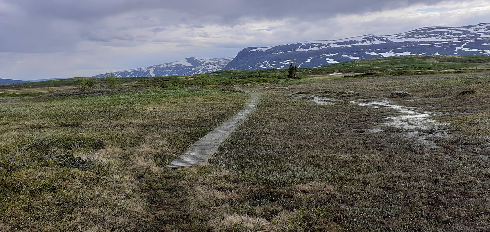 Stien jeg fulgte opp var veldig våt, til tross for tiltak som vist over.