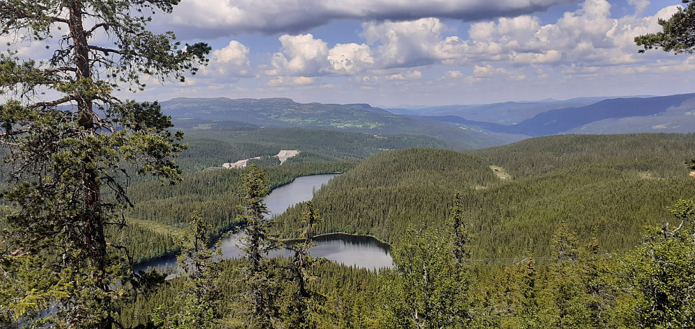 Utsikt over Tonsåsen
