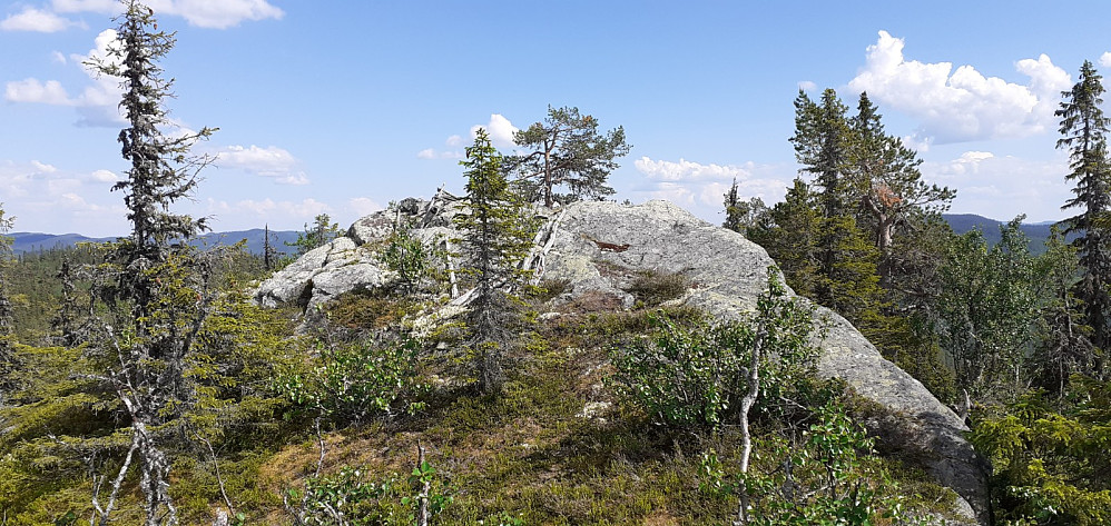 Toppunktet er en bolt på en stein/fjellhøyde. Ikke så mye vegetasjon rundt som hindrer utsikt
