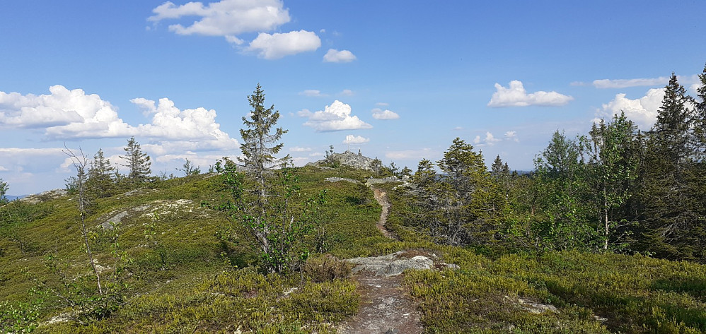 Siste delen av stien før toppen.