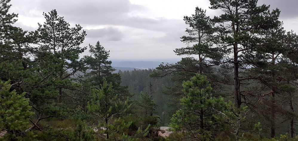 Litt utsikt på toppen, men var ikke så veldig interessert i å sjekke den ut.