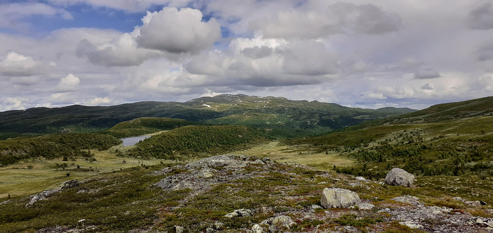 Mot Spåtind fra Ryggetrøfjellet Sør