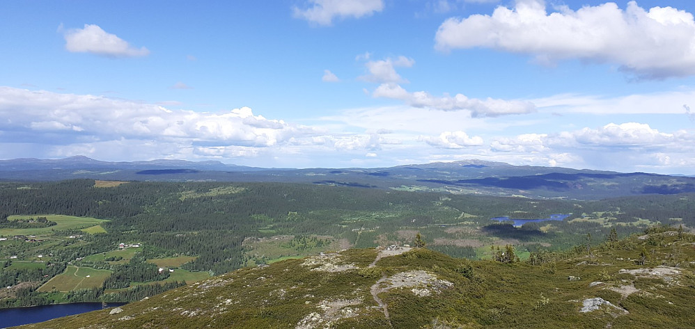 Spåtind og Djuptjernkampen