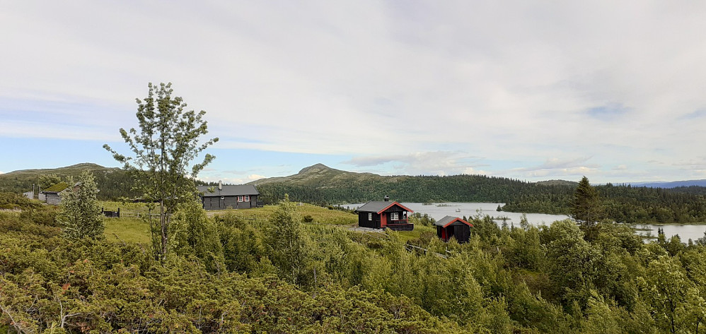 Binnhovdknatten