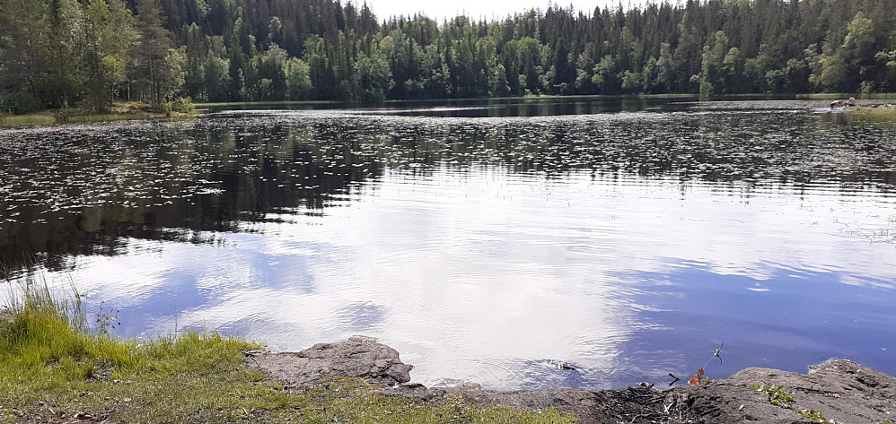 Mulig å både i Migertjern, 5 minutter fra Mørkegonga