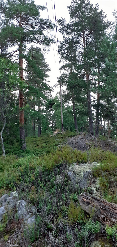Fulgte strømledningen hele veien til toppen