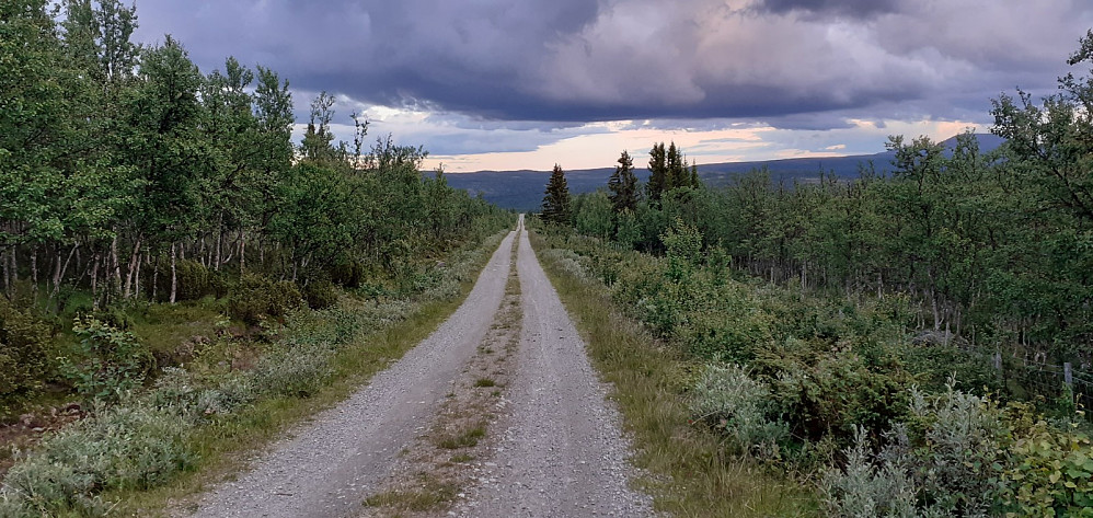 Etter å ha trasket på slike veier som på bildet i hele sommer begynner jeg å skjønne hvorfor pappa er så glad i (el-)sykkel