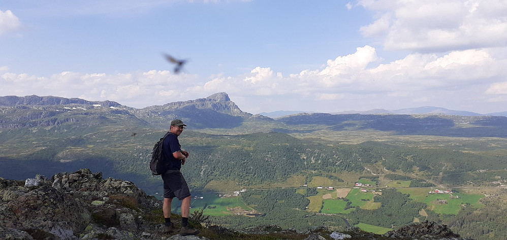 Pappa foran Bitihorn. Var så tett med små fluer på toppen at jeg ikke kunne unngå å gå med en på bildet.