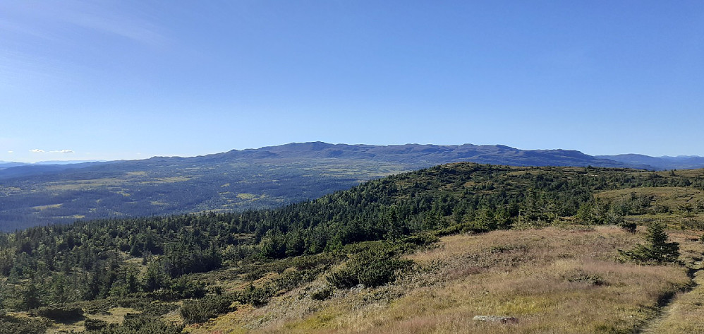 Spåtind fra Nylsfjellet