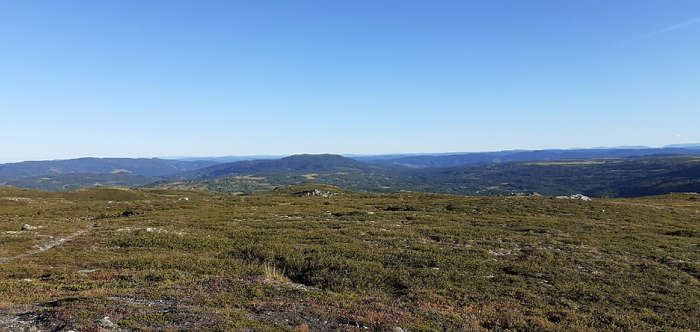 Nylsfjellet  fra Skjervungsfjellet