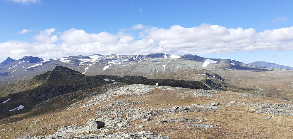 Mot Heimre og Østre Fagerdalshøe fra Synshorn