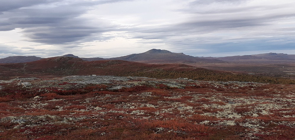 Majestetiske Skaget med Kjølafjellet foran. Fra Gravfjellet