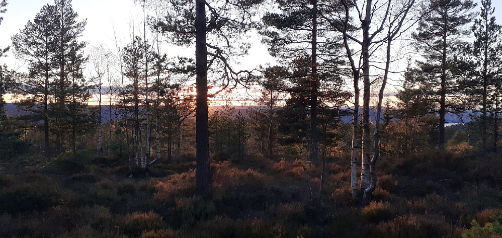 Solnedgang fra Kuven. Åpent og flatt på toppen