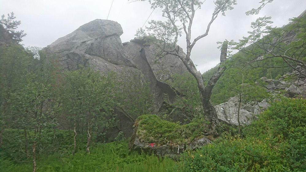 Grov ur i Daurmålsdalen.Denne steinen er på størrelse med en enebolig på to etasjer.