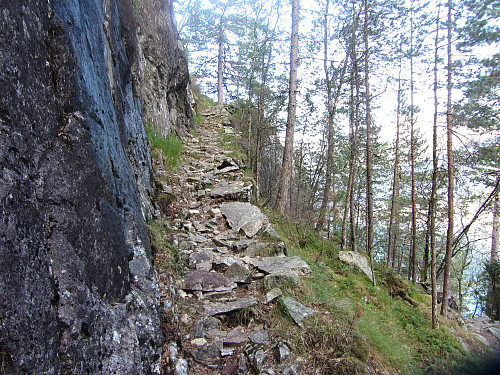 Fra stien langs Langfoss