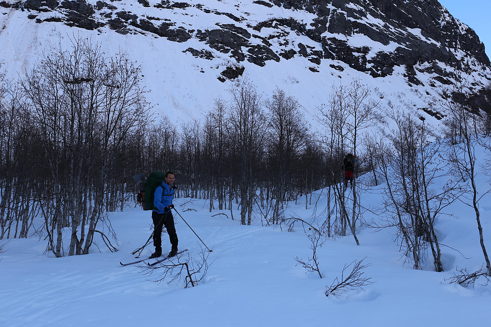 Frode er blid som en lerke. En del skau her nederst i dalen, så litt labyrint-gåing ble det i begynnelsen.