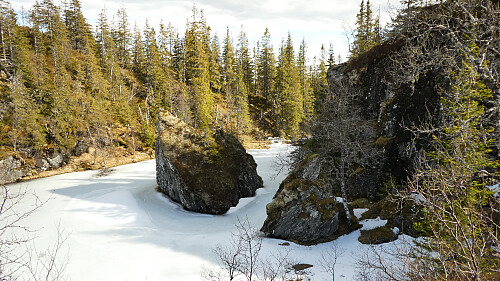 Tårntjønna.