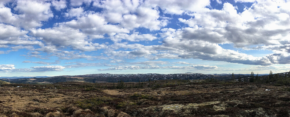 Mot Årliklumpen 570 moh. og Kjerringklumpen 602 moh.