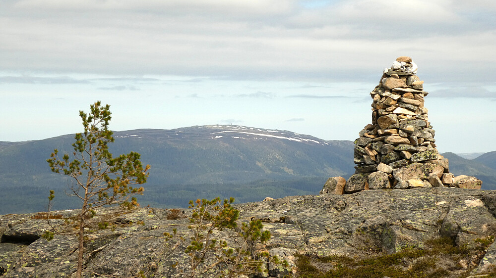 Ser mot Naglen 611 moh. på Olsøyheia.