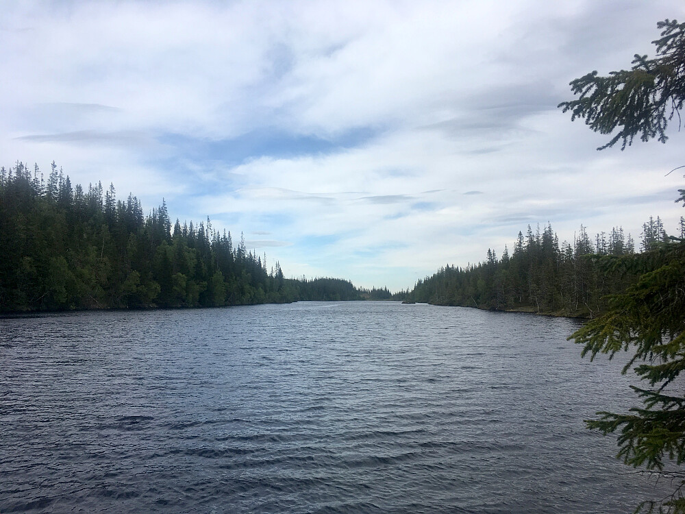 Fiskløysa