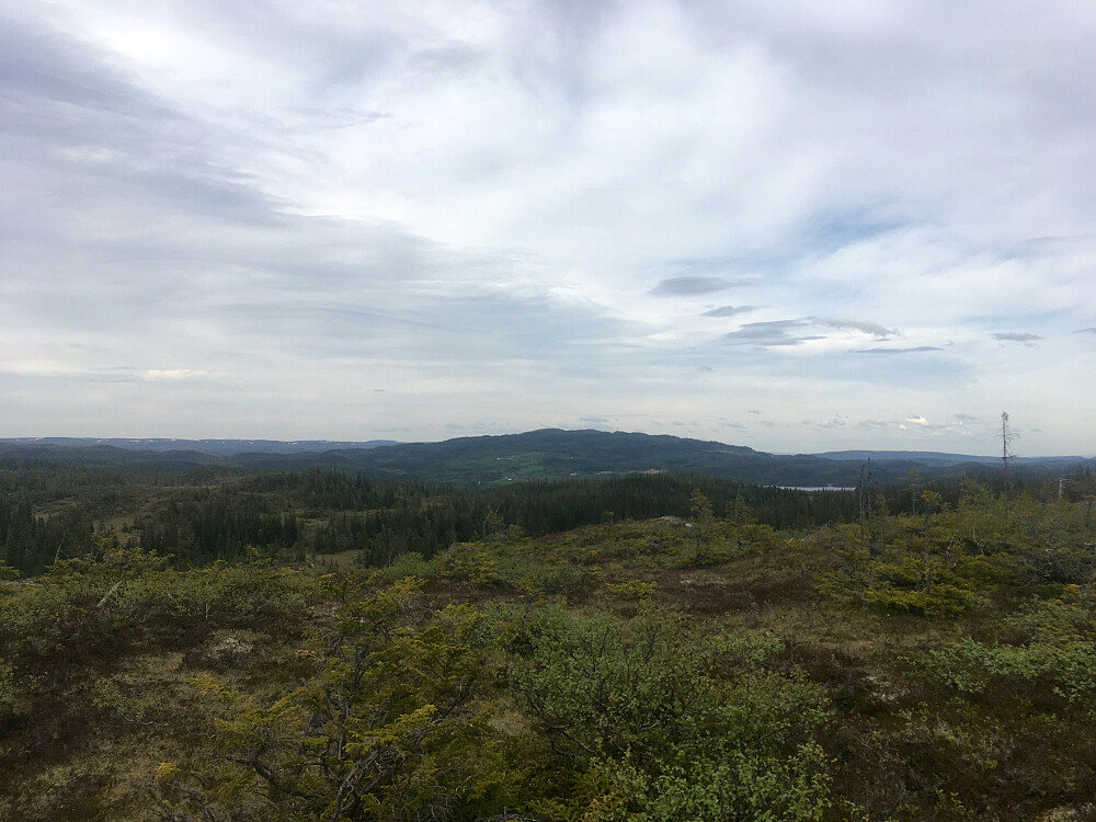 Utsikt fra Fiskløysheia mot Hårfjellet.