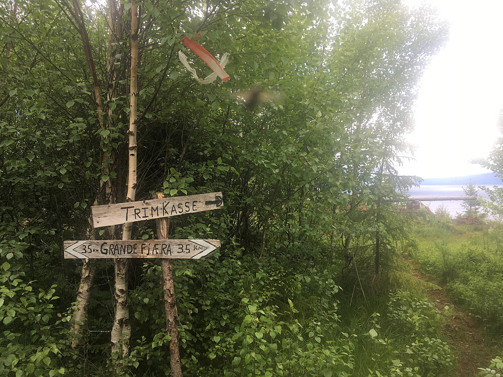 Nyttig veiviser.