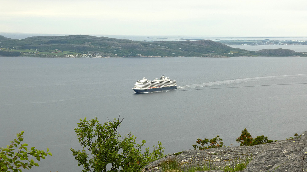 M/S Koningsdam på vei inn til Trondheim.