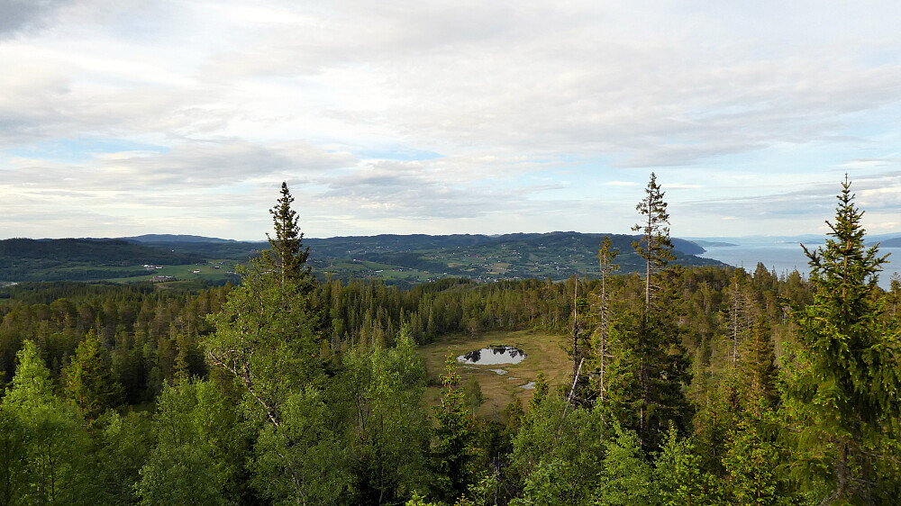 Liarognåsen 322 moh. og Rognåstjønna.
