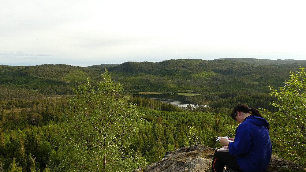 Lauvpynten 317 moh. og Tømmerdalsvatnet.